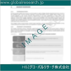 グローバルリサーチ調査資料のイメージ